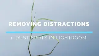 Removing Distractions - 1.EASY fix for dust spots in Lightroom