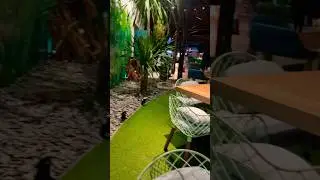 #makan #restaurant #indonesia #fun