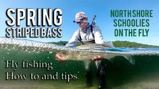 North Shore Fly Fishing for Striped Bass. Spring season tips