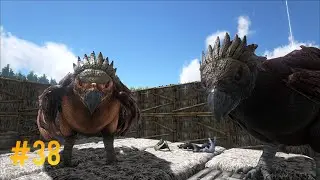 Ark Survival Evolved | #38 | Eagle, a &aacute;guia!