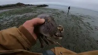 Free Fishing Weekend Washington State