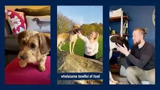 Butcher's British-Made Nourishing Food for Dogs