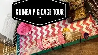 Midwest Guinea Pig Habitat Cage Tour & Review