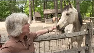 Finding Healing Through Animals | Women Entrepreneurs