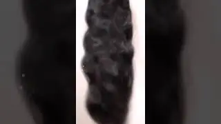 Miracle Watts Full Snapchat Story - Miracle Tresses - Workout & Bestie Birthday | 5/11/2016