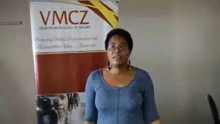 Newsday Zimbabwe Parliamentary reporter Veneranda Langa reflects on #VmczIJSeminar