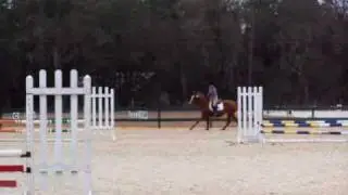 Gem Beginner Novice Stadium 2'7