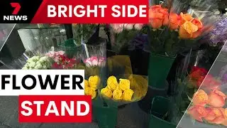 Flowers are back in bloom at Martin Place | 7NEWS