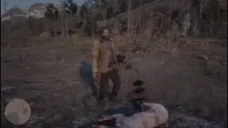 Red Dead Redemption 2 Killing wolf | Gold bars treasure hunt | Dinosaur archeologist Meet