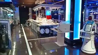 Csjbot-Amy Robot Working in Japan(Huins Ten Bosch)