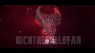 Fan-Intro:NickTheBullsFan