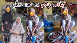 Eid Ke Dino Ki Busy Life || Eid 2nd Day Vlog || Gaon Main Eid Kesy Banai Jati Hai