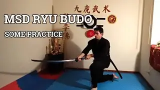 MSD RYU BUDO - Training and Discipline