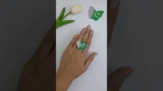 DIY Azadi Ring 🇵🇰✨ #14august #diy #independenceday #gift