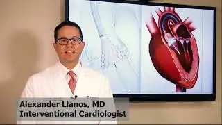 TAVR Program at Holy Cross Health