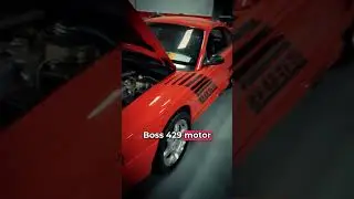 The Forgotten 10L Mustang From H*ll