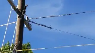 (03/13/2023) Final Phase - Power Line Installation - Brookhaven, MS [2/3]