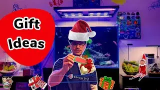 5 Gifts To Buy a Reef Keeper - Last Minute X-MAS Shopping