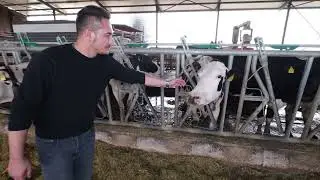 Müşteri Deneyim Videosu - Lely Astronaut A5 / Arasbey Çiftliği | Lüleburgaz