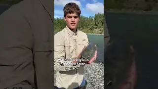 Actually cracked #fishing #alaska #washington #troutfishing #salmon