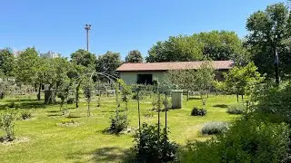 Il passaggio di consegne fra amministratori Condomani e CF condominiale unico | CondoPodcast 306