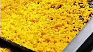 automatic corn maize kernel snack production line