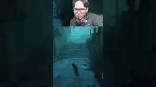Meng dikejarrr #stray #strayps5 #strayps4 #straypc #cat #catlovers #catgame #fyp #livestream