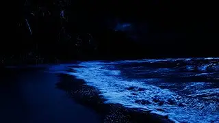 Deep Sleep with Ocean Sounds - Soothing Ocean Sounds for Peaceful Sleep And Relax Deeply