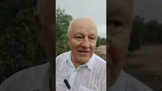 NAMA TREBA BIGOM DANO IME ZA BOGOM DANOG BOSAN+SKOG ČOVJEKA, A TO JE BOSAN