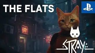Stray LIVE &ndash; Exploring The Flat | Puzzle Solving + Story Progress 🐾✨