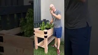 Check out this DIY elevated garden bed we designed! Great build for backyards! #woodworkingplans