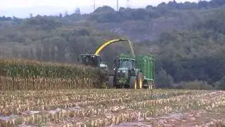 Lloyd Forbes Maize 2014 Co.Cork