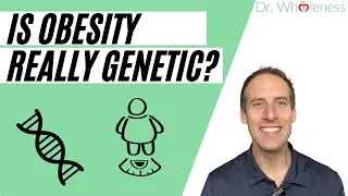 Obesity Epidemic | Genes vs. Lifestyle