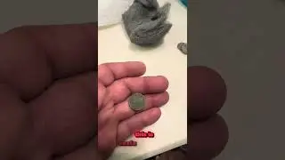 1906 coin saved from Oblivion #trending #metaldetecting #shorts #guitar #funny #shortvideo #short