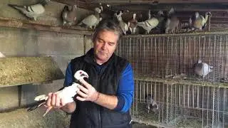 Christian Carette: Pr&eacute;sident du club Fran&ccedil;ais des Bagadais