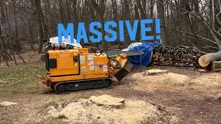Bandit 2650 tracked stump grinder