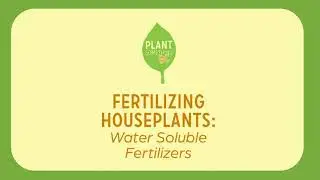 Fertilizing Houseplants: Water Soluble Fertilizers