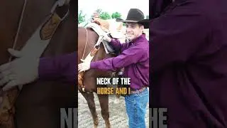 Horse Breast Collar