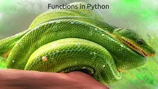 Functions in Python