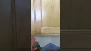 Cabinet closing sound