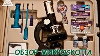 микроскоп школьный eastcolight 100/600/1200x  обзор