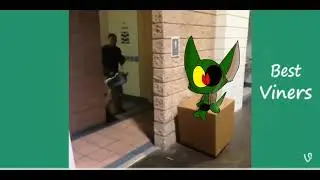 Box prank Oscar the Gremlins in real life