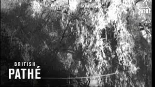 Weatherman Takes A Holiday (1950)
