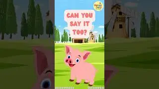 . Learn Pig Sound | Oink Oink | Fun Animal Sounds#shortsvideo #animalsounds #honeybabykidsworld