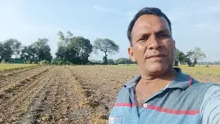 सोयाबीन के हाल,#facebook #youtube #instagram #farming #agrifuture #farmer #comadiy #music#