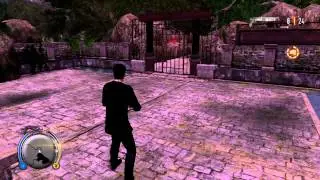 Sleeping dogs secret island/easter egg