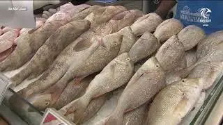 أنواع و أسعار الأسماك في سوق الجبيل 18-08-2025