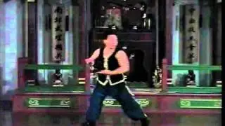 Hasayfu Hung Kuen - Snake Sample