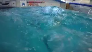 Mermaid/Merman swim school. World of Swimming