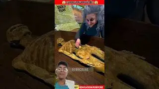 #tiktokvideo